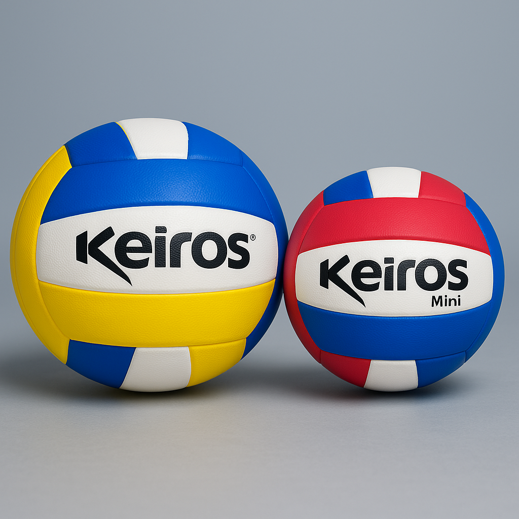 Balón de Voleibol